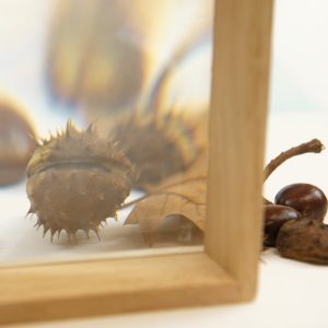 6 pcs. Magnifier Cases