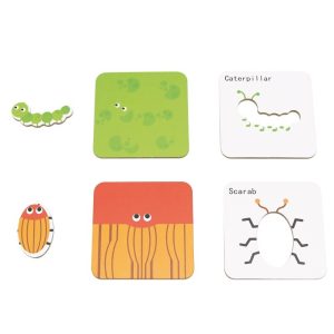 Guess Who I Am - Insect